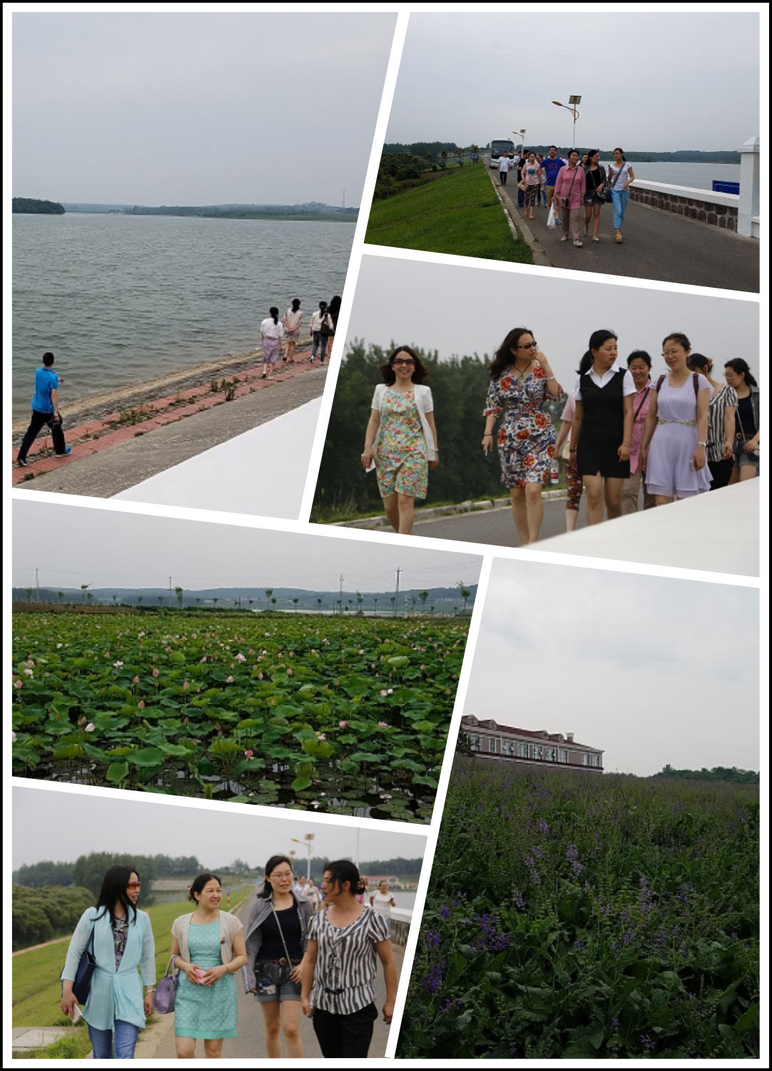 IMG_9113.PNG